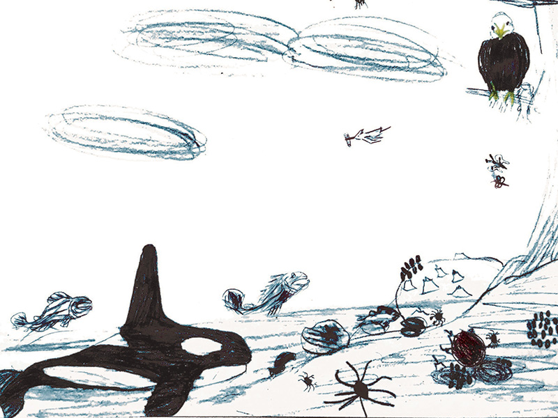 A child's drawing of the seashore with various animals