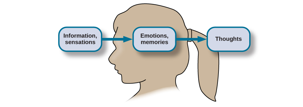 cognitive processes definition