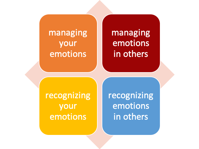 Leadership and Your Emotions Entrepreneurial Leadership for the Trades