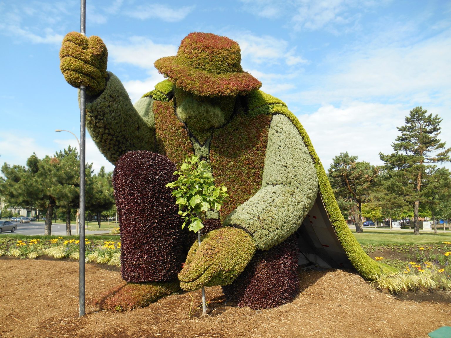 l-homme-qui-plantait-des-arbres-let-s-read-french-books