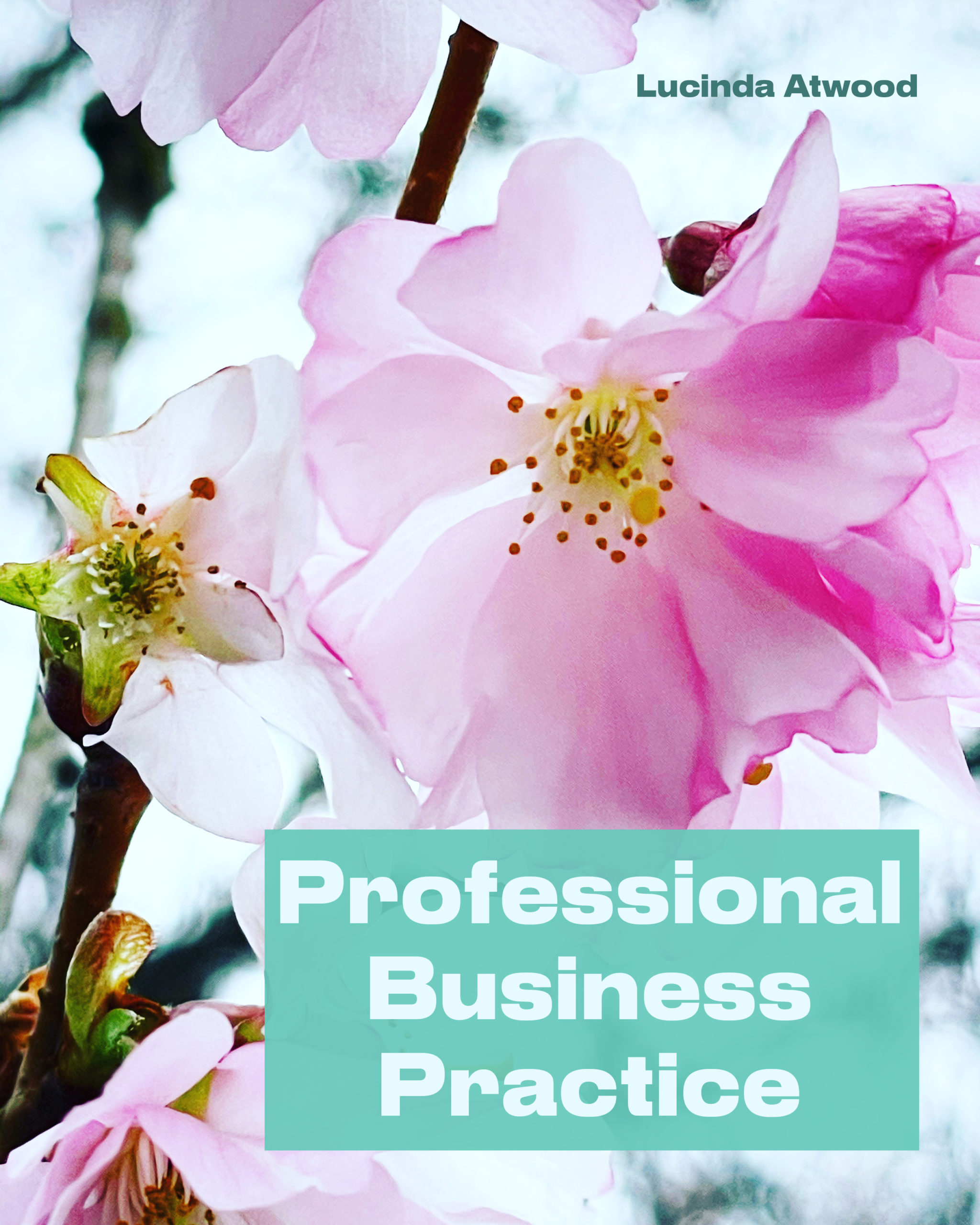 Cover image for Professional Business Practice