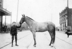 A boy and a horse on Hastings Street near Carrall in downtown Vancouver, ca. 1897. Some of the oldest buildings had stables in their basements. (City of Vancouver Archives, AM54-S4-: Str P175)