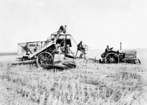 Combined harvester-threshers reduced the need for itinerant threshing crews and they pitched farmers into debt, both on the eve of the Depression. High Prairie, Alberta, 1930. Credit: Library and Archives Canada/PA-040497