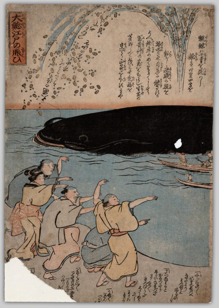 A Meiji Sanriku Tsunami Print depicting a group of people attempting to capture Namazu, the giant catfish believed to cause earthquakes.