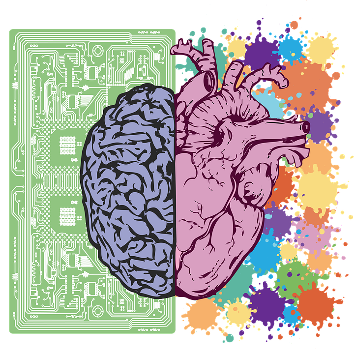 A brain and heart are shown connected. The brain represents critical thinking and fact, the heart represents emotional response.