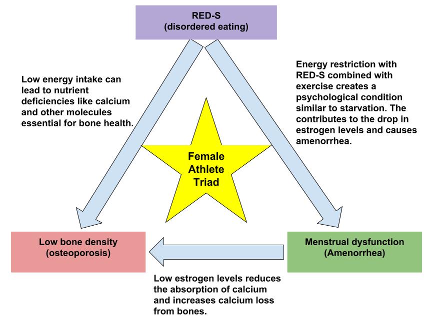 Human Kinetics - The female athlete triad was first defined as a  progression of an energy deficit that leads to menstrual cycle disruption  and ultimately may be causative to bone mineral losses