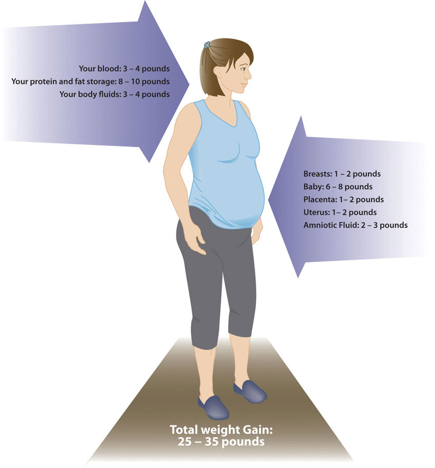 Posture During Pregnancy