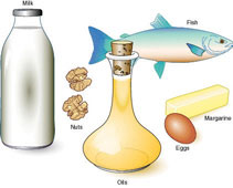 The Role of Lipids in Food – Human Nutrition