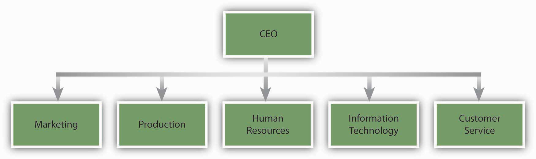 An Example of a Pharmaceutical Company With Functional Departments: Marketing, Production, Human Resources, Information Technology, and Customer Service