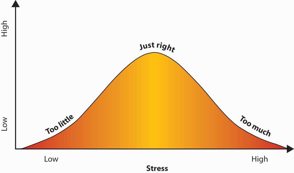 Individuals who are able to find the right balance between work that is too challenging and work that is not challenging enough see increases in performance