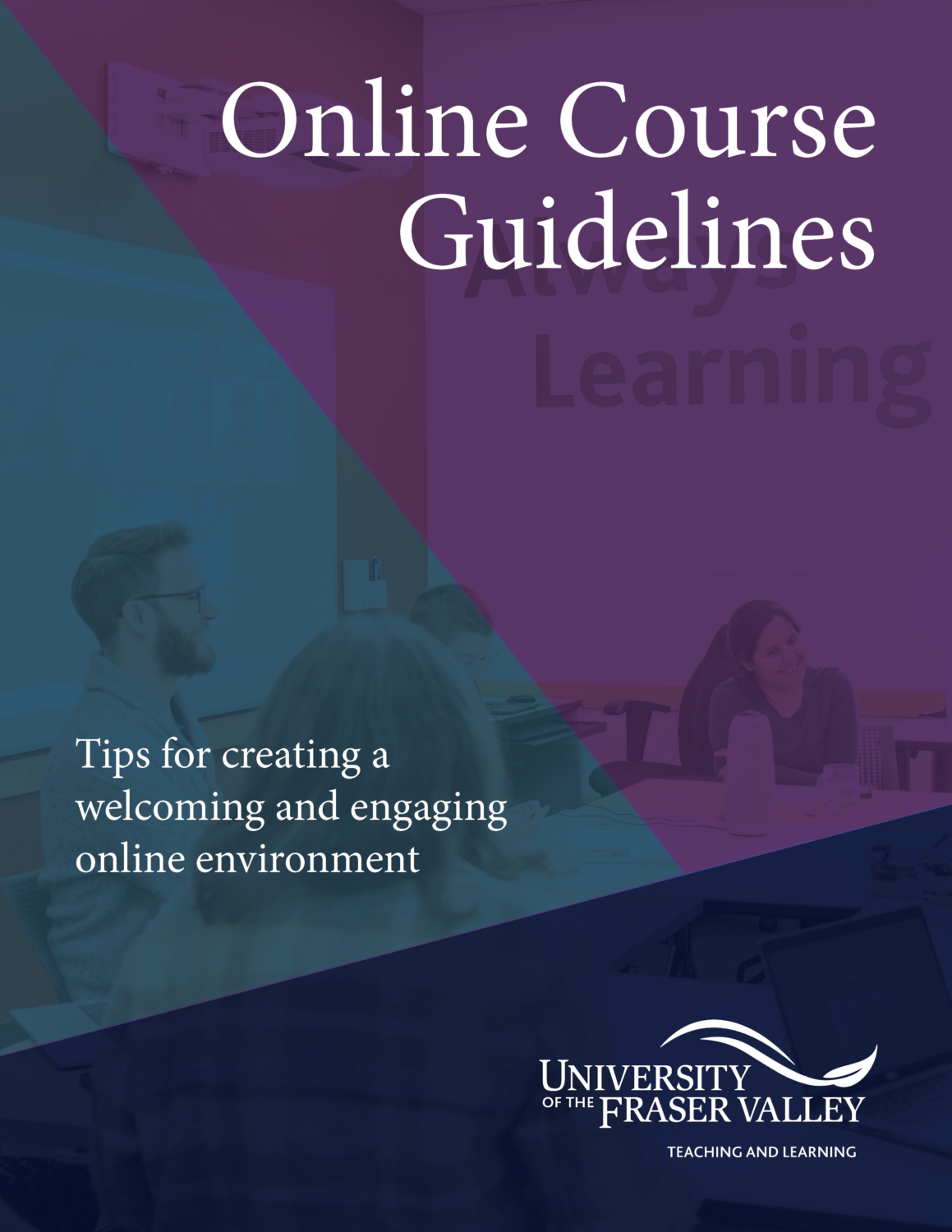 Cover image for Online Course Guidelines