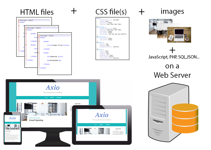 Components of a website: HTML, CSS, PHP, JS
