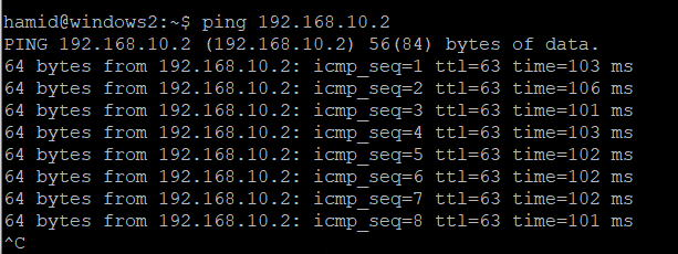 Verify ping from Windows to webterm