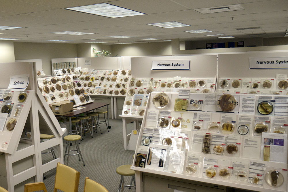 A wide angle view of the David Hardwick Pathology Learning Centre at UBC