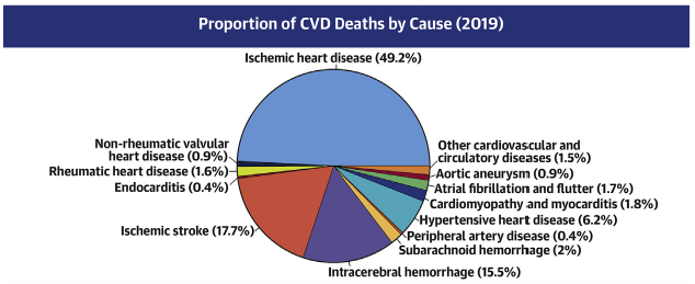 A pie chart of cardiovascular deaths by cause based on 2019 data. 49% of cardiovascular death is caused by ischemic heart disease whereas 18% is caused by ischemic and 16% of hemorrhagic stroke. Other causes make up