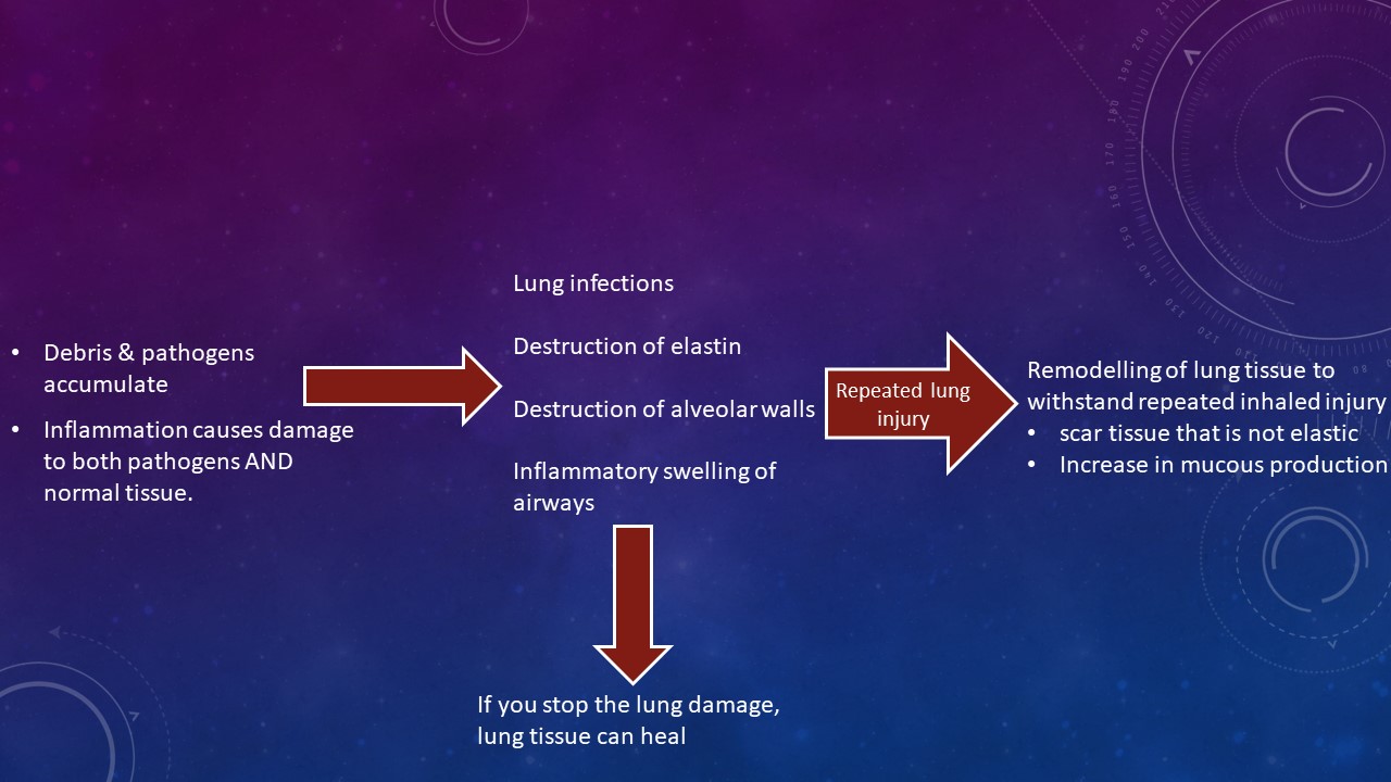 Pathophysiology Of Emphysema Flow Chart