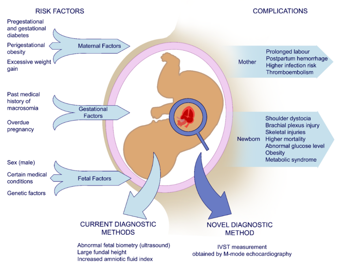 Diagram summarizing risk factors, diagnoses methods, and manifestations of gestational diabetes in both the mother and child.