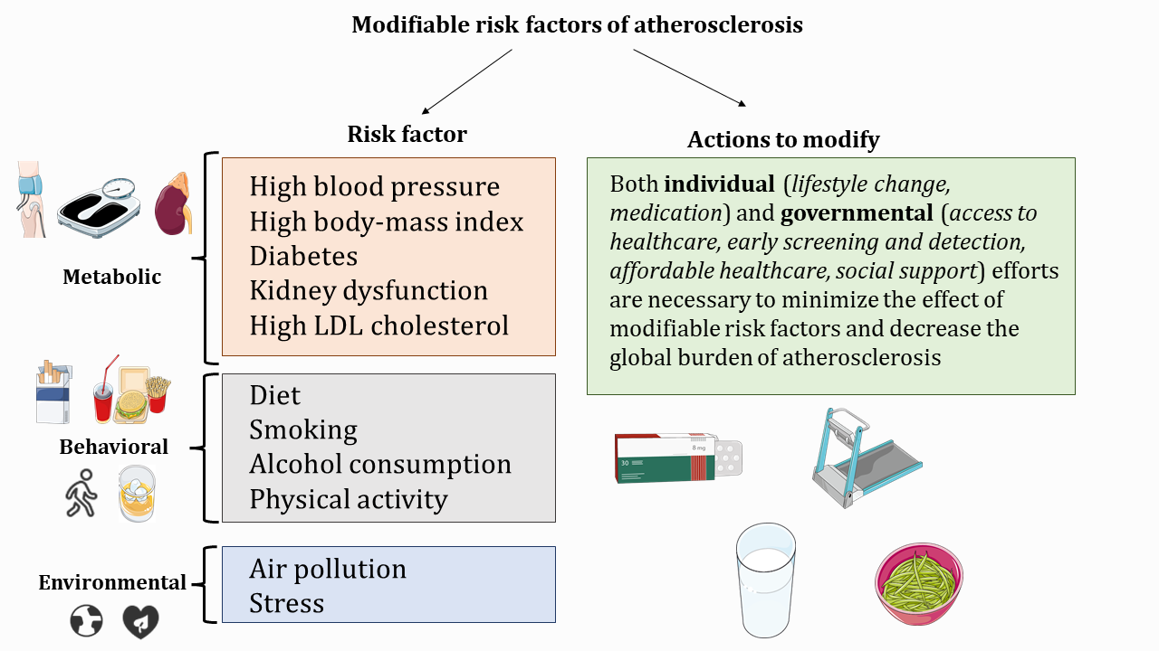 modifiable risk factors are represented by images that represent high blood pressure (blood pressure cuff), BMI (scale), diabetes, high LDL and kidney dysfunction (kidney). Behaviour risk factors are represented by images representing limiting smoking (cigarette pack), diet (fast food burger, fries, and soft drink), physical activity (man walking), and alcohol consumption (glass with ice cubes and a golden liquid). Environmental risk factors are represented by images for air pollution (picture of the globe) and stress (icon of heart with a leaf inside). Actions that modify the risk factor are represented as medication (generic pack of pills), exercise (treadmill), healthy eating (e.g. glass of milk, bowl of noodles)