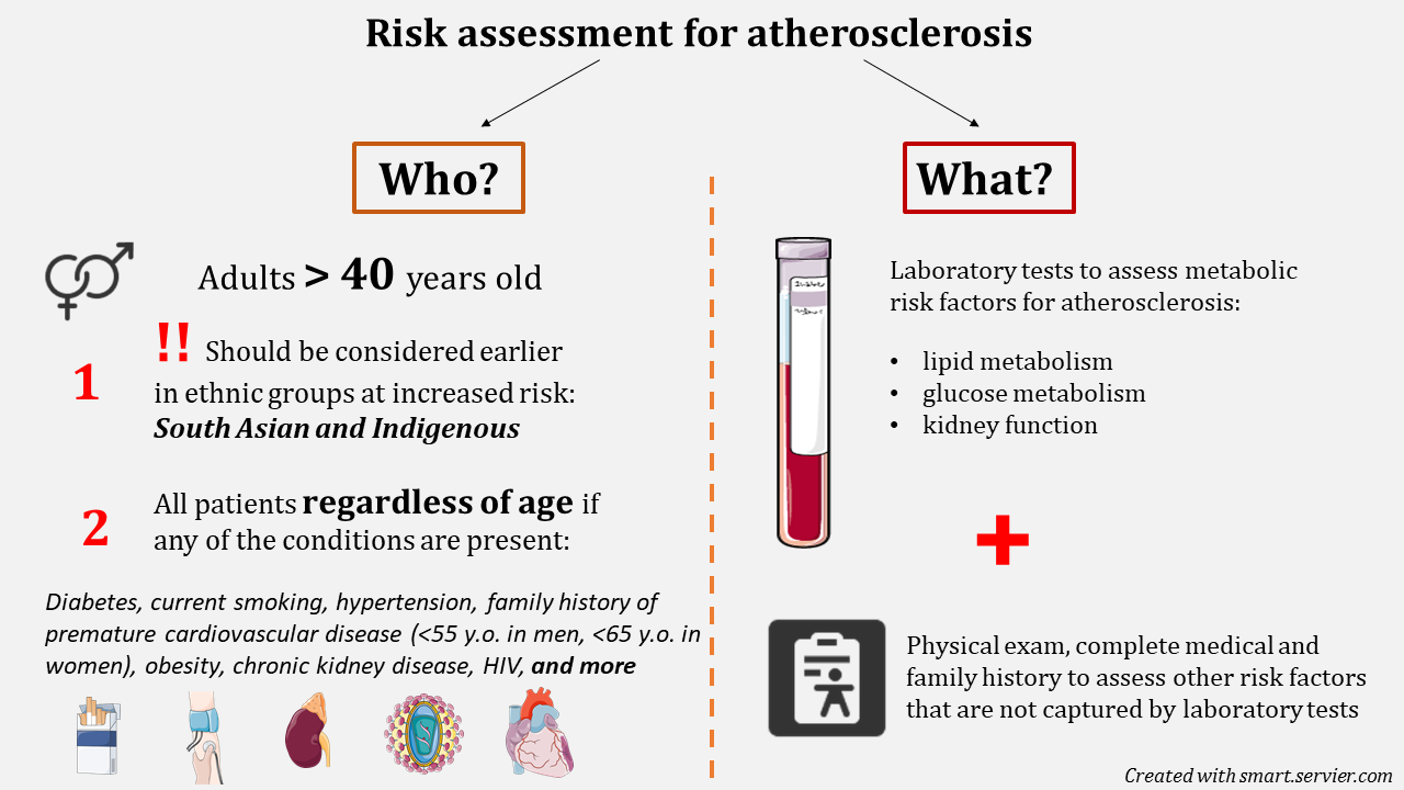 risk assessment is divided into Who? and What? Under Who, 3 factors are important: adults over 40 y.o., certain ethnic groups like south asian & Indigenous, and all patients with chronic conditions (images to represent smoking, blood pressure, kidney, heart, and an HIV infection). Under What?, an image of a blood collection tube represents the lab tests which assesses risk based on lipid & glucose metabolism and kidney function. An image of a clipboard represents medical and family history and physical exam that indicates other risk factors