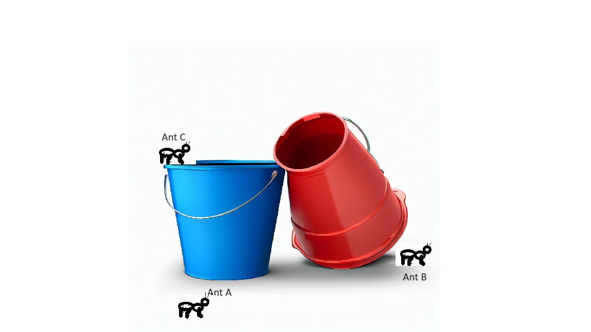 There is a blue bucket that is upright and a red bucket that is upside down with not bottom. There are 3 ants positioned: Ant A is between the ground and the blue bucket's bottom. Ant B is between the upside down mouth of the red bucket and the ground. And Ant C is on the rim of the blue bucekt