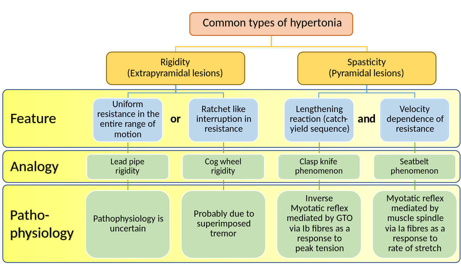 Types of Hypertonia.