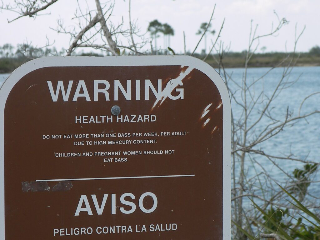 Mercury contamination is a problem in the Florida Everglades