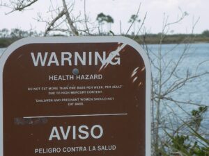 Mercury contamination is a problem in the Florida Everglades