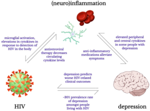 Schematic representation of the relationship between HIV, depression, and (neuro)inflammation.
