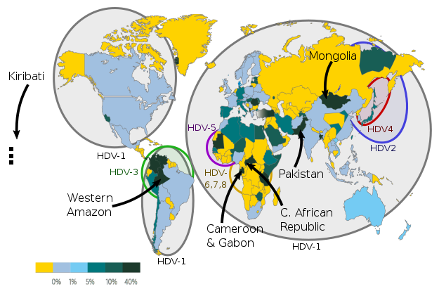 Worldwide prevalence of hepatitis D virus (HDV) among hepatitis B virus (HBV) carriers and HDV Genotypes in 2015