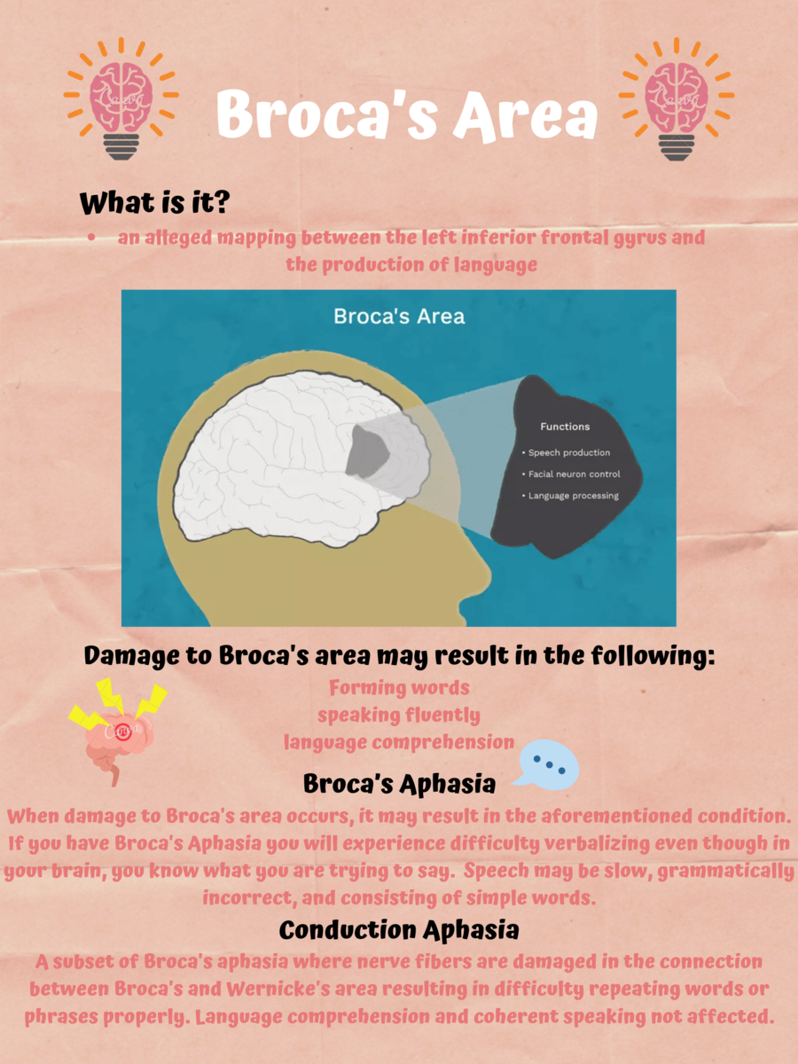 Broca's Area