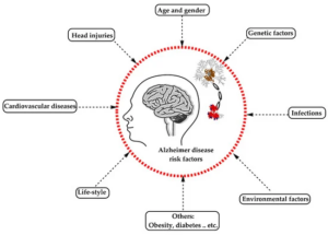 The risk factors for Alzheimer’s disease.