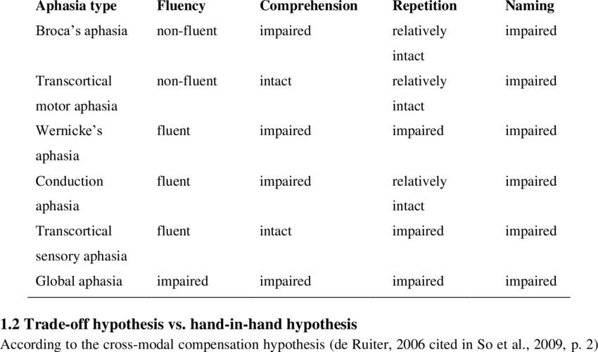 Boston classification of aphasia 3.