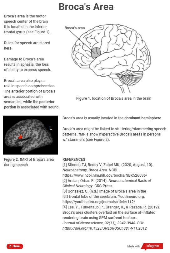 Broca's area infogram.