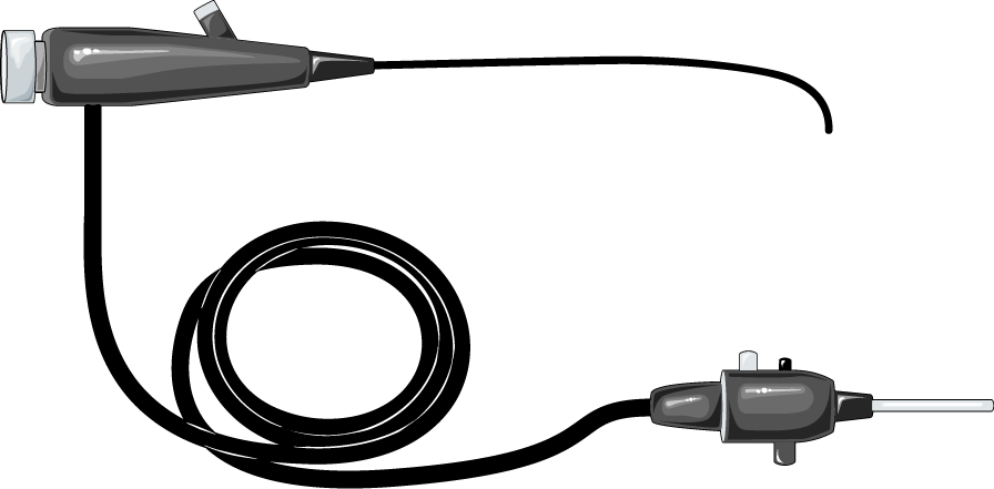 Diagram of an endoscope, used in endoscopy