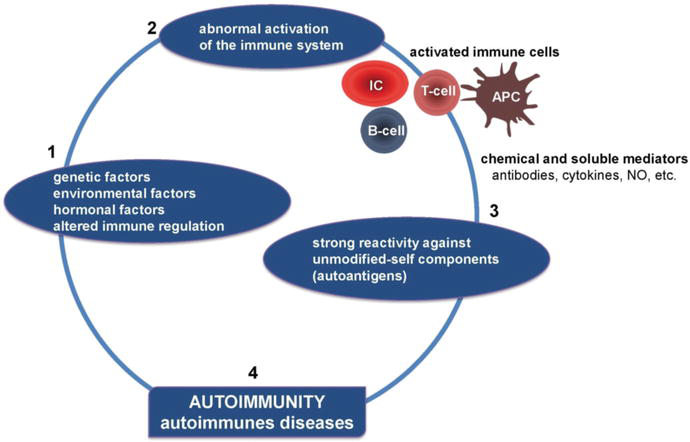 Pathophysiological mechanisms of autoimmune diseases.