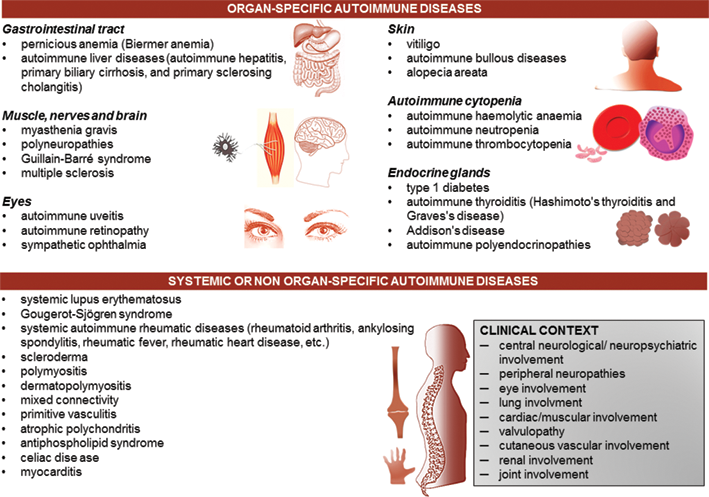Autoimmune diseases