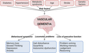 Vascular Dementia.