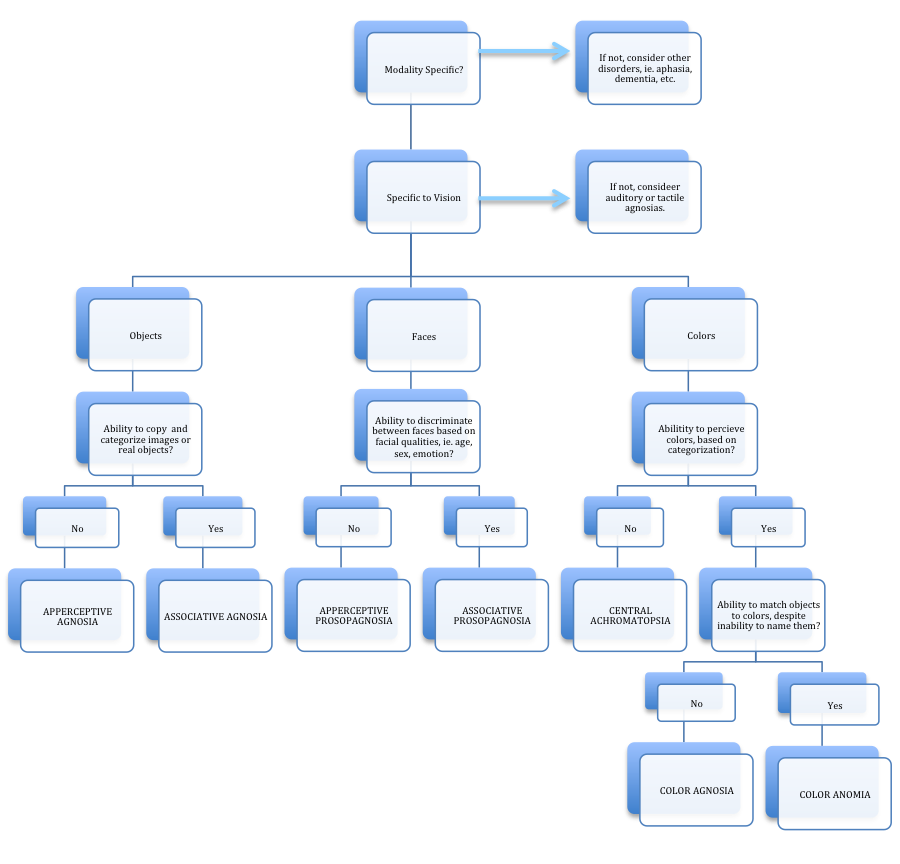 Flowchart for Assessment of Visual Agnosias.