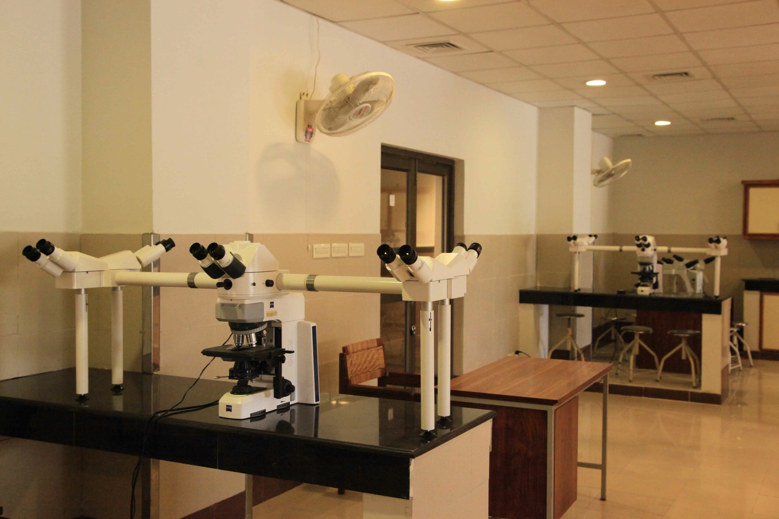 A visualization of a histology lab