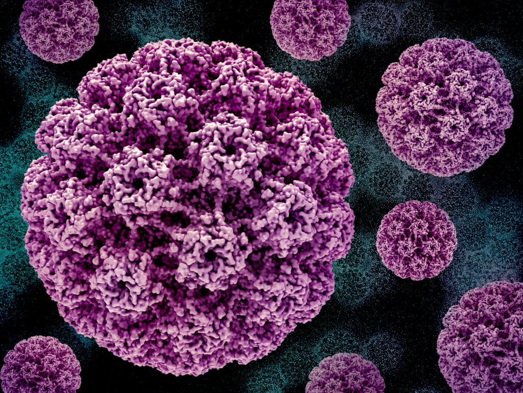 Example of oncovirus