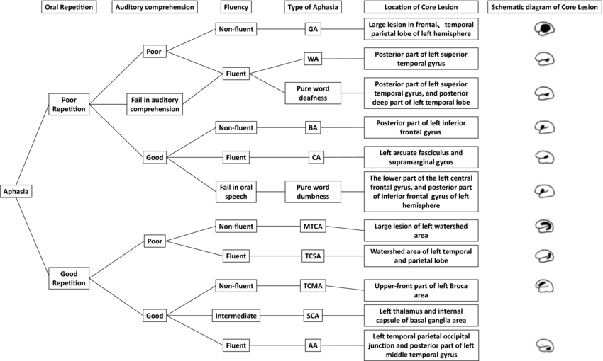 Lesion location and schematic diagram of PSA Chinese aphasia types of the Department of Neurology, Peking University First Hospital. AA, anomic aphasia; BA, Broca aphasia; CA, conductive aphasia; GA, global aphasia; MTCA, mixed transcortical aphasia; SCA, subcortical aphasia; TCMA, transcortical motor aphasia; TCSA, transcortical sensory aphasia; WA, Wernicke aphasia.