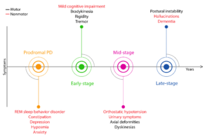 Timeline of clinical signs expressed throughout PD.