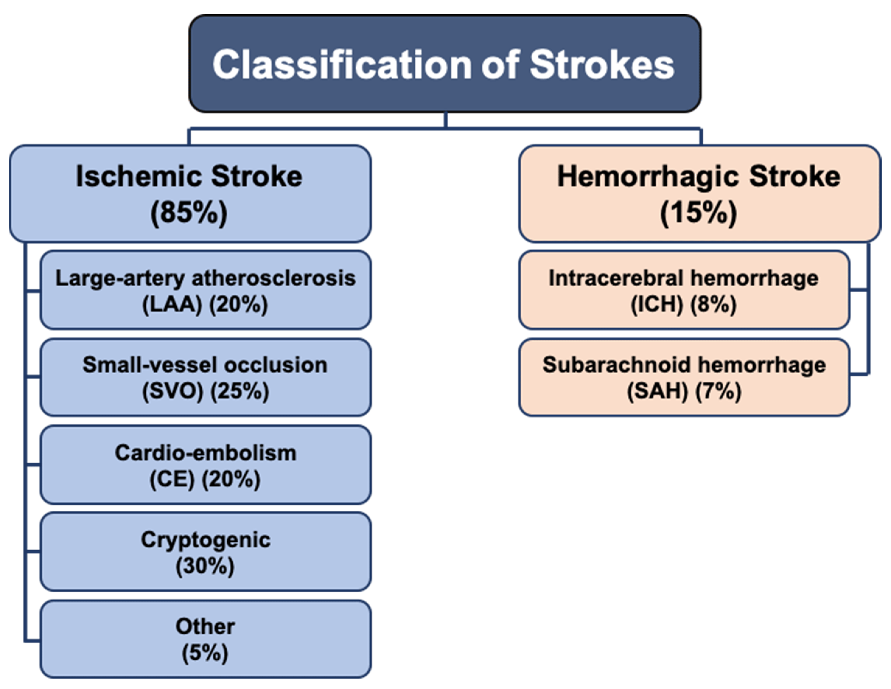 Figure 1. Classification of stroke subtypes. Stroke is classified into two major forms—ischemic (85%) and hemorrhagic (15%) groups.