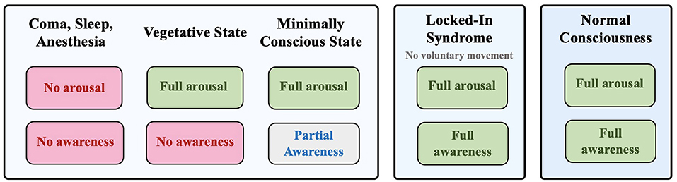 Figure 1. Different states of consciousness: coma, vegetative state, minimally conscious state, locked-in syndrome, and normal consciousness based on the degree of arousal and awareness.