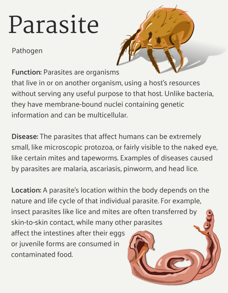 Parasites are organisms that live in or on a host and use their host's resources at the expense of the host. (credit: adapted work from NIAID)