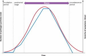 Graph showing Four Stages of Infection in relation to number of pathogen particles present in the body.