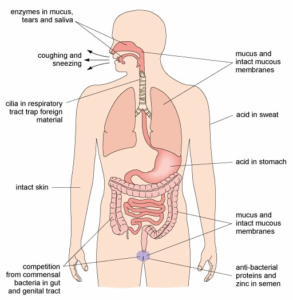 Non-Specific Defense: Physical and Chemical Barriers Against Infection