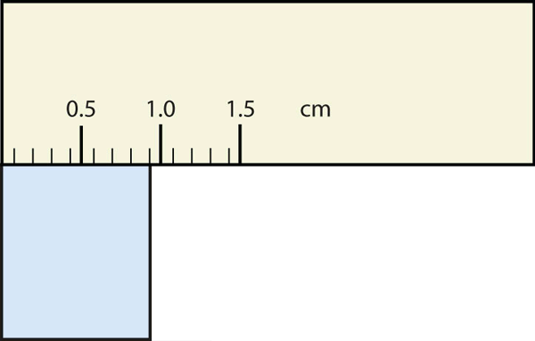 Ruler-3