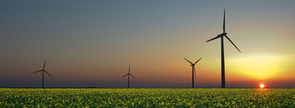 A field with four wind turbines and the Sun setting in the background.