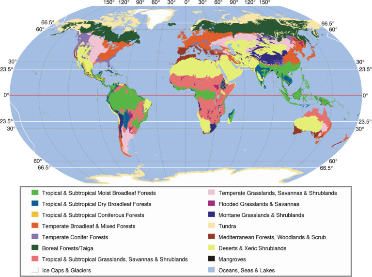 Laboratory 9: Climate And The Distribution Of Biomes And Soils 